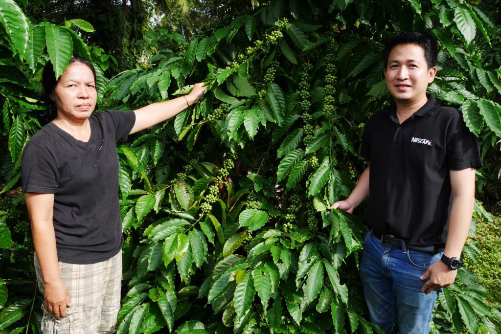 นักวิชาการเกษตรของเนสกาแฟ และเกษตรกรชาวสวนกาแฟ Grown Respectfully 19