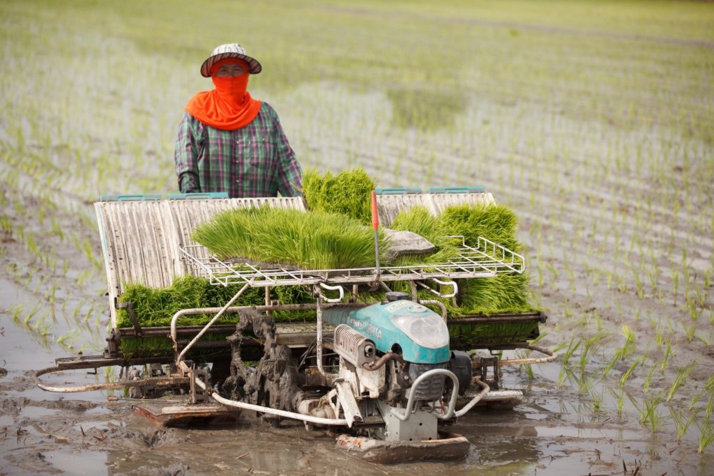 ไททา แนะพรรคการเมืองชูนโยบายเกษตร GAP ใช้สารเคมีปลอดภัย แข่งขันในตลาดโลก