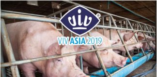 เปิดตัวแอปฯ ป้องกันโรคอหิวาต์ในสุกร-งาน VIV Asia 2019 อย่าพลาด 13-15 มี.ค. นี้