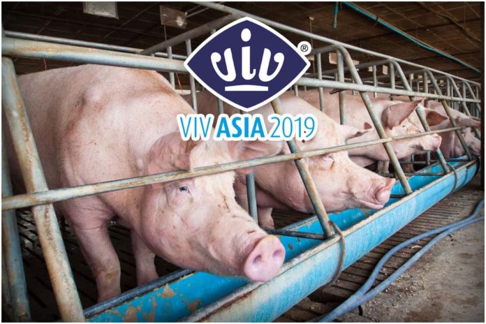 เปิดตัวแอปฯ ป้องกันโรคอหิวาต์ในสุกร-งาน VIV Asia 2019 อย่าพลาด 13-15 มี.ค. นี้