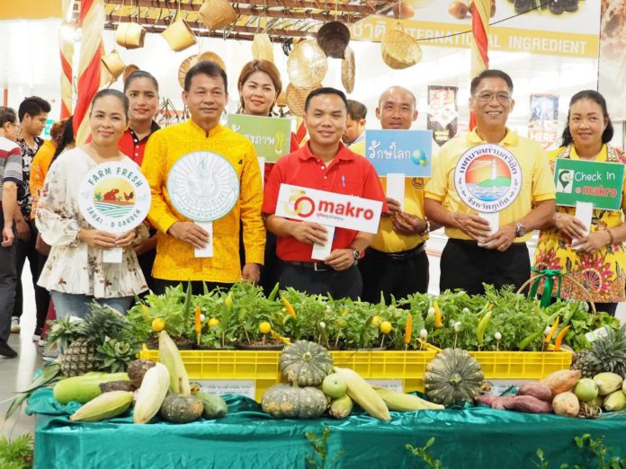 แม็คโคร ช่วยเกษตรกรภาคใต้ หนุนผักพื้นบ้านมาตรฐานปลอดภัยขึ้นห้าง ชูคุณค่าโภชนาการสูง ปรับใช้บรรจุภัณฑ์ธรรมชาติ รับผู้ประกอบการร้านอาหารท้องถิ่นบูม