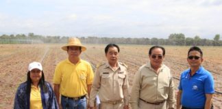 กรมส่งเสริมการเกษตรเผยมาตรการช่วยเหลือเกษตรกรผู้ประสบแล้งและฝนทิ้งช่วง ปี 2562