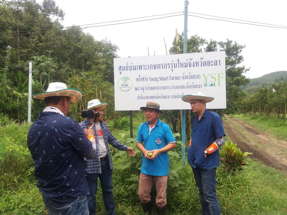 ศูนย์บ่มเพาะเกษตรกรรุ่นใหม่ 