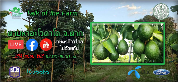 เสวนาเคลื่อนที่เร็ว Talk of the Farm...ตามหาอะโวคาโด จ.ตาก