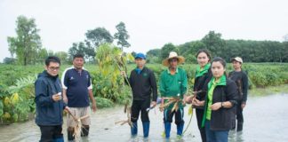 เกษตรฯ จัด 5 โครงการ...เร่งฟื้นฟู เยียวยา เกษตรกรผู้ประสบภัยฝนทิ้งช่วงและอุทกภัยปี 2562
