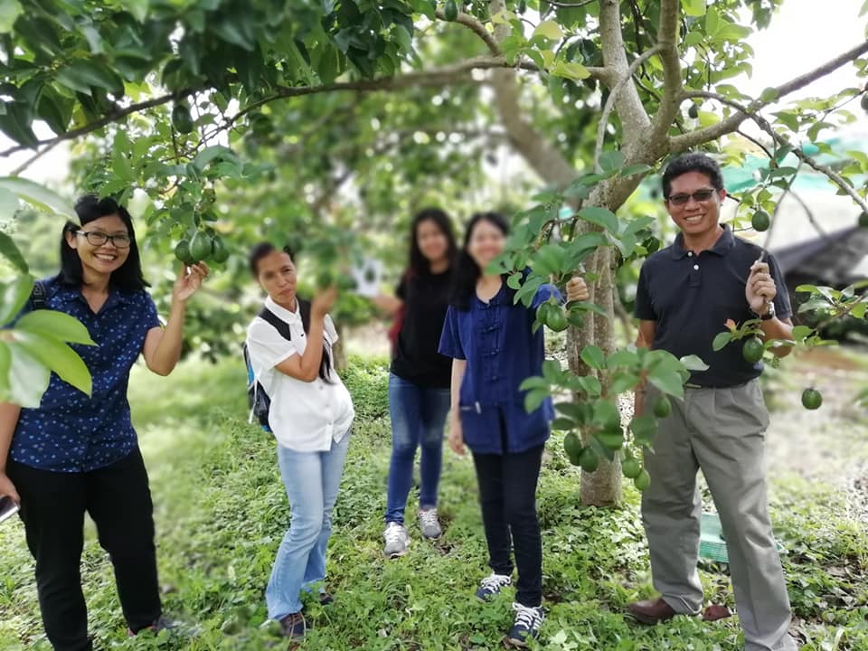 ทีมงานอะโวคาโด เกษตรที่สูงจ.ตาก