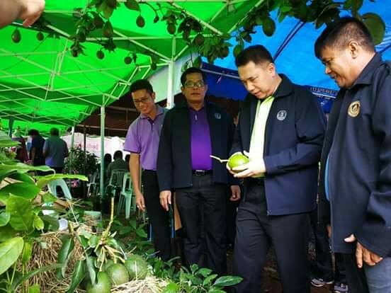 คุณสำราญ สาราบรรณ์ อธิบดีกรมส่งเสริมการเกษตร (ในขณะนั้น) ให้ความสนใจอะโวคาโด เกษตรที่สูง จ.ตาก 