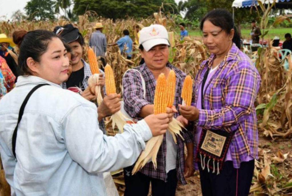 สหกรณ์ พร้อมขานรับนโยบายต่อยอด “ตลาด นำการผลิต”ทุกมิติ