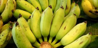 กล้วยน้ำว้า-พริกชี้ฟ้า-ข่า-ไผ่ พืชสร้างรายได้ ตลาดต้องการ ของเกษตรกรเมืองชล