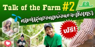 TALK OF THE FARM #2 ปลูกเมล่อนส่งการบินไทย ทำอย่างไร?