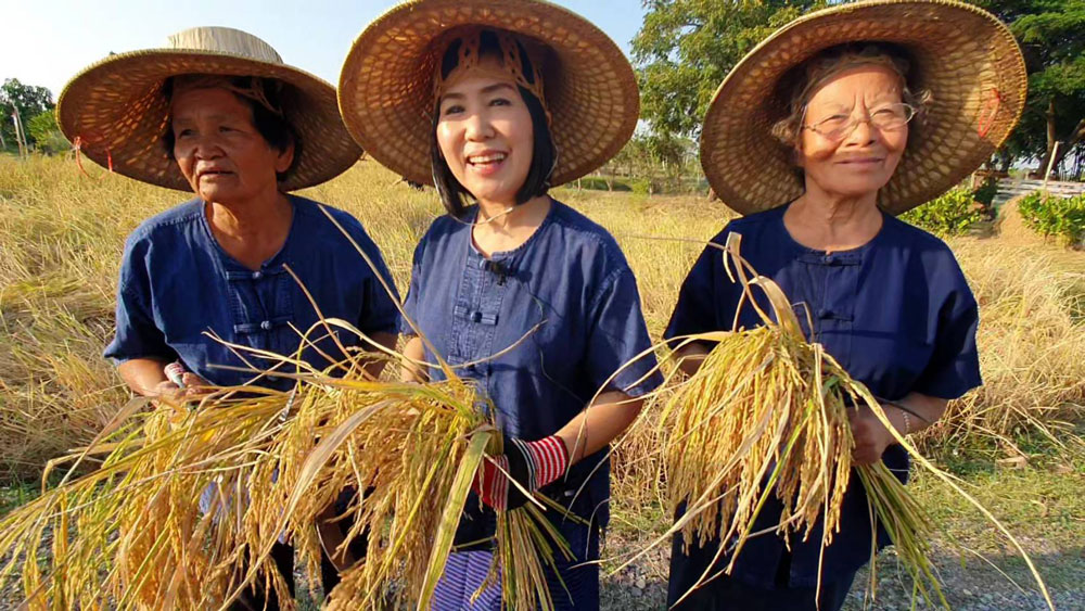 กับผู้อาวุโสของชุมชนที่มาช่วยกันบอกเล่าเรื่องราวของข้าวเสาไห้สระบุรี