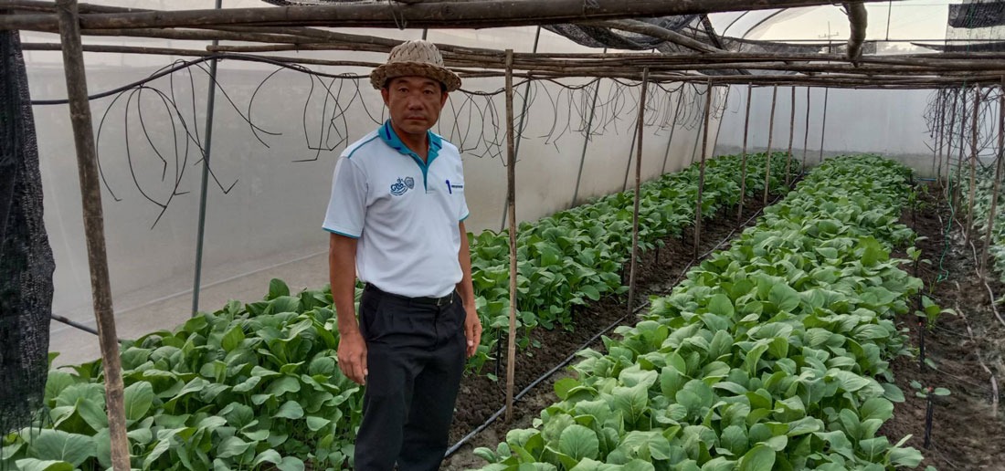 คุณจิตรกร เผด็จศึก ประธานศูนย์การเรียนรู้เกษตรปลอดภัยสูงตำบลบางพระ อำเภอเมือง จังหวัดฉะเชิงเทรา