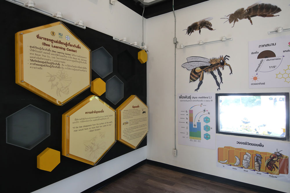 เปิดศูนย์เรียนรู้ผึ้ง Bee Learning Center แห่งแรกของเอเชีย