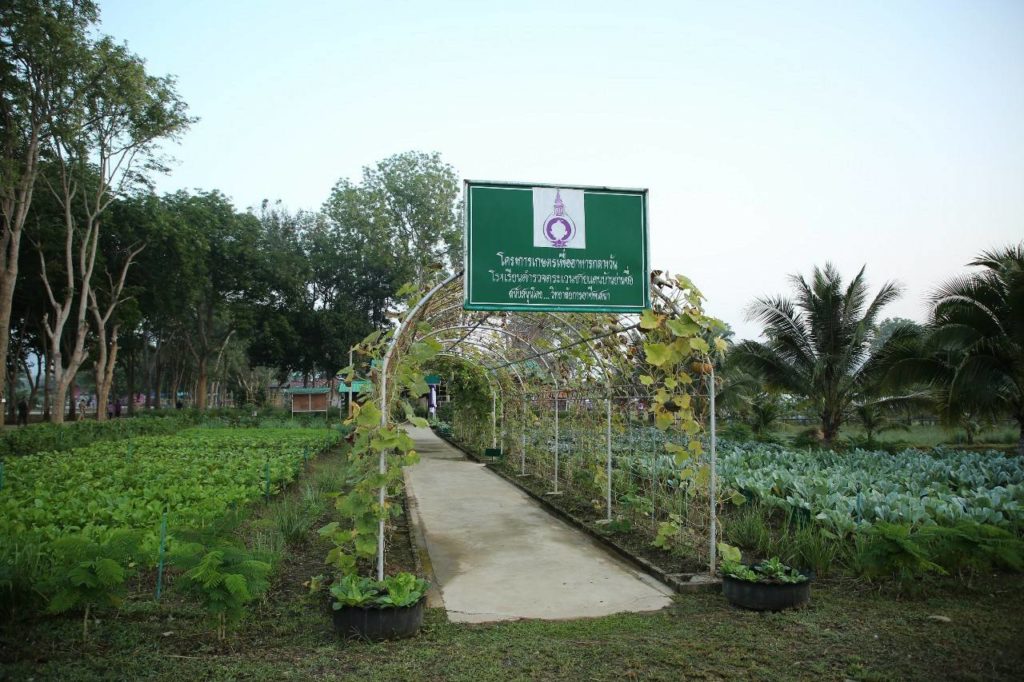 ทรงเปิดอาคาร “เกษตรสิริสุข” ที่โรงเรียน ตชด.บ้านย่านซื่อ จ.ประจวบคีรีขันธ์