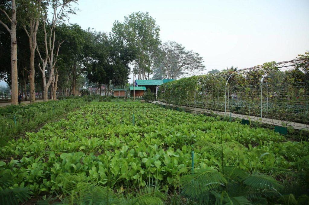 ทรงเปิดอาคาร “เกษตรสิริสุข” ที่โรงเรียน ตชด.บ้านย่านซื่อ จ.ประจวบคีรีขันธ์