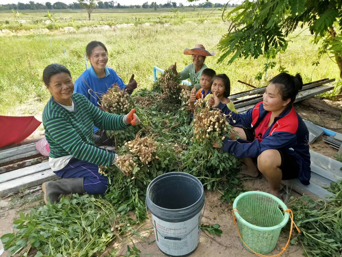 กรมวิชาการ ปรับแผนงบฯถูกปรับลด 