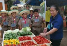 เกษตรกรให้ความสนใจเข้าร่วมงานวันถ่ายทอดเทคโนโลยีชุมชนต้นแบบ จ.น่าน