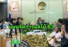 เปิดแผนจัดการผลไม้ ปี 2563 ห่วงทุเรียนส่งจีนมีผลกระทบจากไวรัสโคโรนา