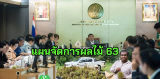 เปิดแผนจัดการผลไม้ ปี 2563 ห่วงทุเรียนส่งจีนมีผลกระทบจากไวรัสโคโรนา