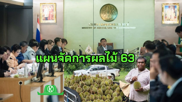 เปิดแผนจัดการผลไม้ ปี 2563 ห่วงทุเรียนส่งจีนมีผลกระทบจากไวรัสโคโรนา