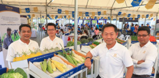 เจียไต๋ โชว์ศักยภาพผู้นำเมล็ดพันธุ์พืช ในงาน Chia Tai International Field Day 2020