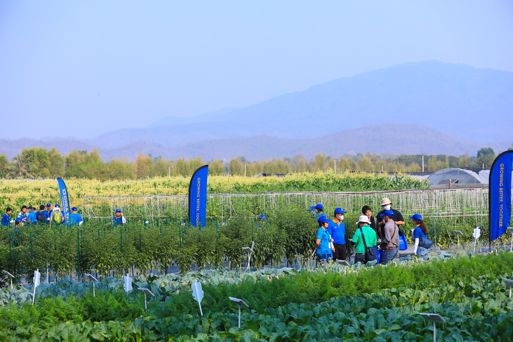 เจียไต๋ โชว์งาน ‘Chia Tai International Field Day 2020’