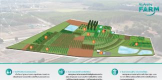 เจาะลึก KUBOTA Farm “ฟาร์มเกษตรสมัยใหม่ของภูมิภาคอาเซียน” มีอะไรให้ชมบ้าง?