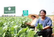 เทสโก้ โลตัส รับซื้อผักตรงจากเกษตรกรครบทั้ง 4 ภาค พร้อมยกระดับคุณภาพผักไทย