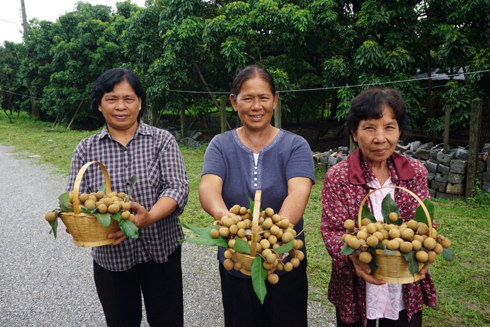 กรมส่งเสริมการเกษตร เตือนชาวสวนเตรียมพร้อมรับมือพายุฤดูร้อน เร่งป้องกันและระวังความเสียหายที่จะเกิดต่อผลผลิตทางการเกษตร