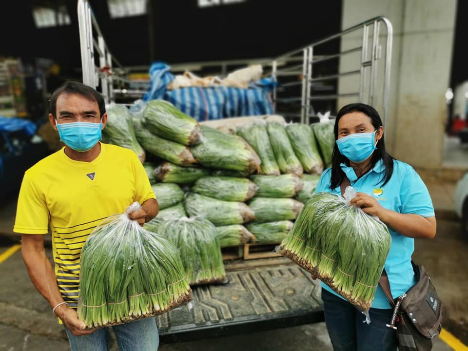 กรมส่งเสริมการเกษตรจับมือตลาดไทช่วยเกษตรกรสู้ภัย COVID-19 เปิดพื้นที่ขายผักฟรี!!! 3 เดือน