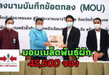 มอบเมล็ดพันธุ์ผัก 45,600 ซอง ศรแดงจับมือ กรมพัฒนาชุมชน ส่งเสริมปลูกผักกินเอง