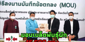 มอบเมล็ดพันธุ์ผัก 45,600 ซอง ศรแดงจับมือ กรมพัฒนาชุมชน ส่งเสริมปลูกผักกินเอง