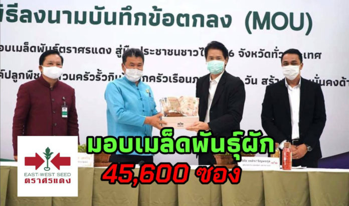 มอบเมล็ดพันธุ์ผัก 45,600 ซอง ศรแดงจับมือ กรมพัฒนาชุมชน ส่งเสริมปลูกผักกินเอง