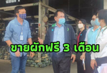 กรมส่งเสริมการเกษตร จับมือตลาดไท ช่วยเกษตรกรสู้ภัย COVID-19 เปิดพื้นที่ขายผักฟรี 3 เดือน