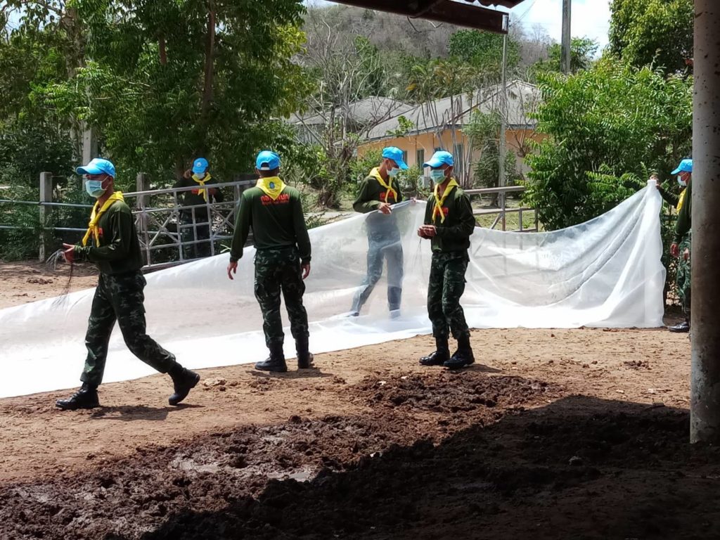 ปศุสัตว์ ร่วมจังหวัดเพชรบุรีประเดิมฉีดวัคซีนป้องกันโรคกาฬโรคแอฟริกาในม้า แห่งแรกของประเทศไทย ที่สถานเสาวภา ปกป้องชีวิตม้า 560 ตัว เพื่อคุ้มครองชีวิตคน