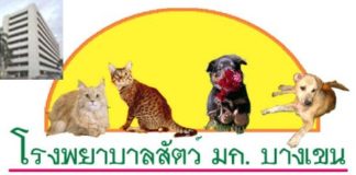 คุณหมอ รพ.สัตว์ มก. บางเขนเตือนมาเรื่องสัตว์ป่วยด้วยโรคไวรัส COVID-19