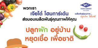 เจียไต๋โฮมการ์เด้น ชวนปลูกผักอยู่บ้าน หยุดเชื้อ เพื่อชาติ