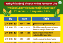 กรมส่งเสริมการเกษตร ชวนเกษตรกรผ่านวิกฤติ โควิด-19 สอนเกษตรกร ป้องกันกำจัดหนอนกระทู้ข้าวโพดลายจุด ผ่านออนไลน์ เฟสบุ๊ค ไลฟ์