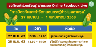 กรมส่งเสริมการเกษตร ชวนเกษตรกรผ่านวิกฤติ โควิด-19 สอนเกษตรกร ป้องกันกำจัดหนอนกระทู้ข้าวโพดลายจุด ผ่านออนไลน์ เฟสบุ๊ค ไลฟ์