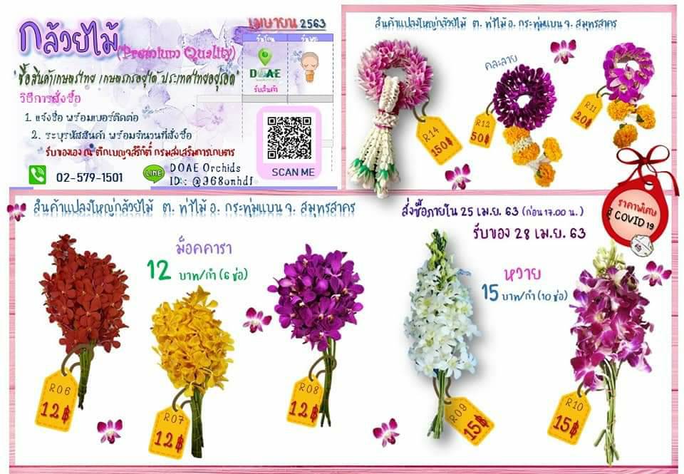 เผยสถานการณ์การตลาดกล้วยไม้ ไม้ดอกไม้ประดับและแนวทางช่วยเหลือเกษตรกรช่วงโควิด-19