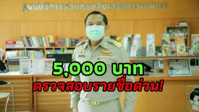 ด่วน! เกษตรกรผู้ปลูกพืชที่จะได้รับสิทธิ์เงิน 5,000 บาท ให้ตรวจสอบรายชื่อในชุมชนตามที่ตั้งแปลง วันนี้-15 พ.ค. 63