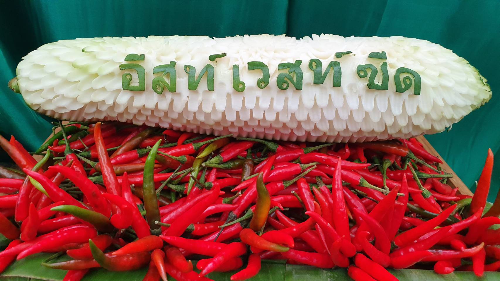 กรมส่งเสริมการเกษตร จับมือกับเมล็ดพันธุ์ตราศรแดง เปิดตัวโครงการ “ ตู้เย็นข้างบ้าน “ สนับสนุนเมล็ดพันธุ์ผักสวนครัว ให้แก่เกษตรกรและผู้ได้รับผลกระทบ COVID-19