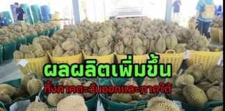 เกษตรฯ คาดการณ์ปริมาณผลไม้ ปี 2563 พร้อมหาแนวร่วมผนึกกำลังวางแผนจัดการครบวงจร