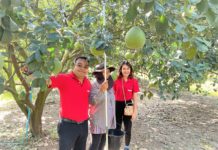 วิสาหกิจชุมชนเกาะทวดฯ จับมือ แม็คโคร ฝ่าโควิด-19 ส่งผักปลอดภัย ส้มโอดัง จากชาวสวนและโรงเรียนในพื้นที่ ขึ้นห้าง