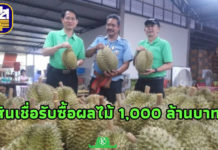 ธ.ก.ส. หนุนสินเชื่อเกษตรกรที่รับซื้อผลไม้ 1,000 ล้านบาท