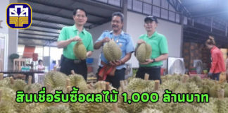 ธ.ก.ส. หนุนสินเชื่อเกษตรกรที่รับซื้อผลไม้ 1,000 ล้านบาท