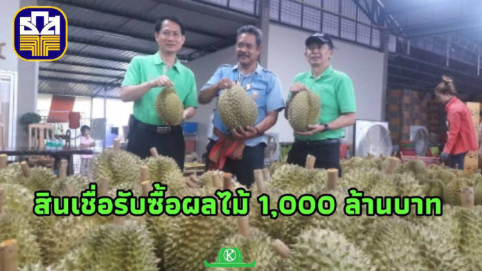 ธ.ก.ส. หนุนสินเชื่อเกษตรกรที่รับซื้อผลไม้ 1,000 ล้านบาท