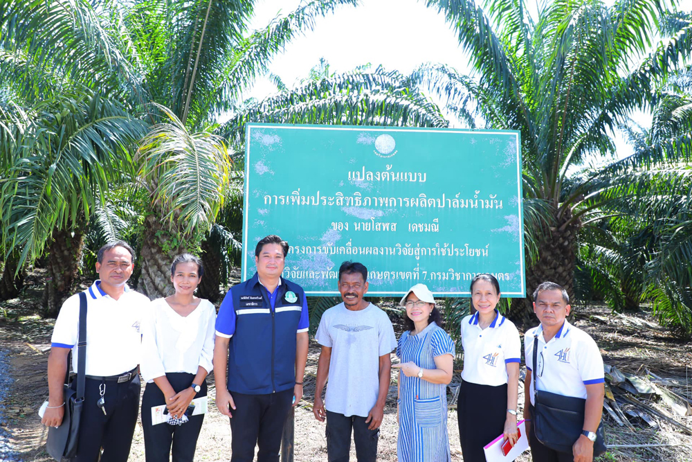 ประวิตร ดัน สุราษฎร์โมเดล ต้นแบบแก้ปัญหาปาล์ม 