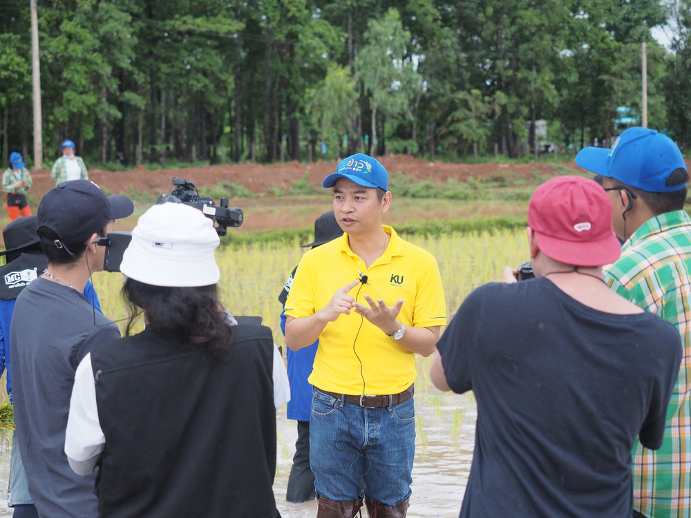 บมจ.ไทยเซ็นทรัลเคมี จัดทำแปลงข้าวสาธิตเพิ่มผลผลิตข้าวไทยแ