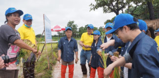 บมจ.ไทยเซ็นทรัลเคมี ร่วมกับ มหาวิทยาลัยเกษตรศาสตร์ วิทยาเขตเฉลิมพระเกียรติ จัดทำแปลงข้าวสาธิตเพิ่มผลผลิตข้าวไทยและลดต้นทุนให้เกษตรกร